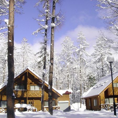 Log Cottage Epoch Hakuba Zewnętrze zdjęcie