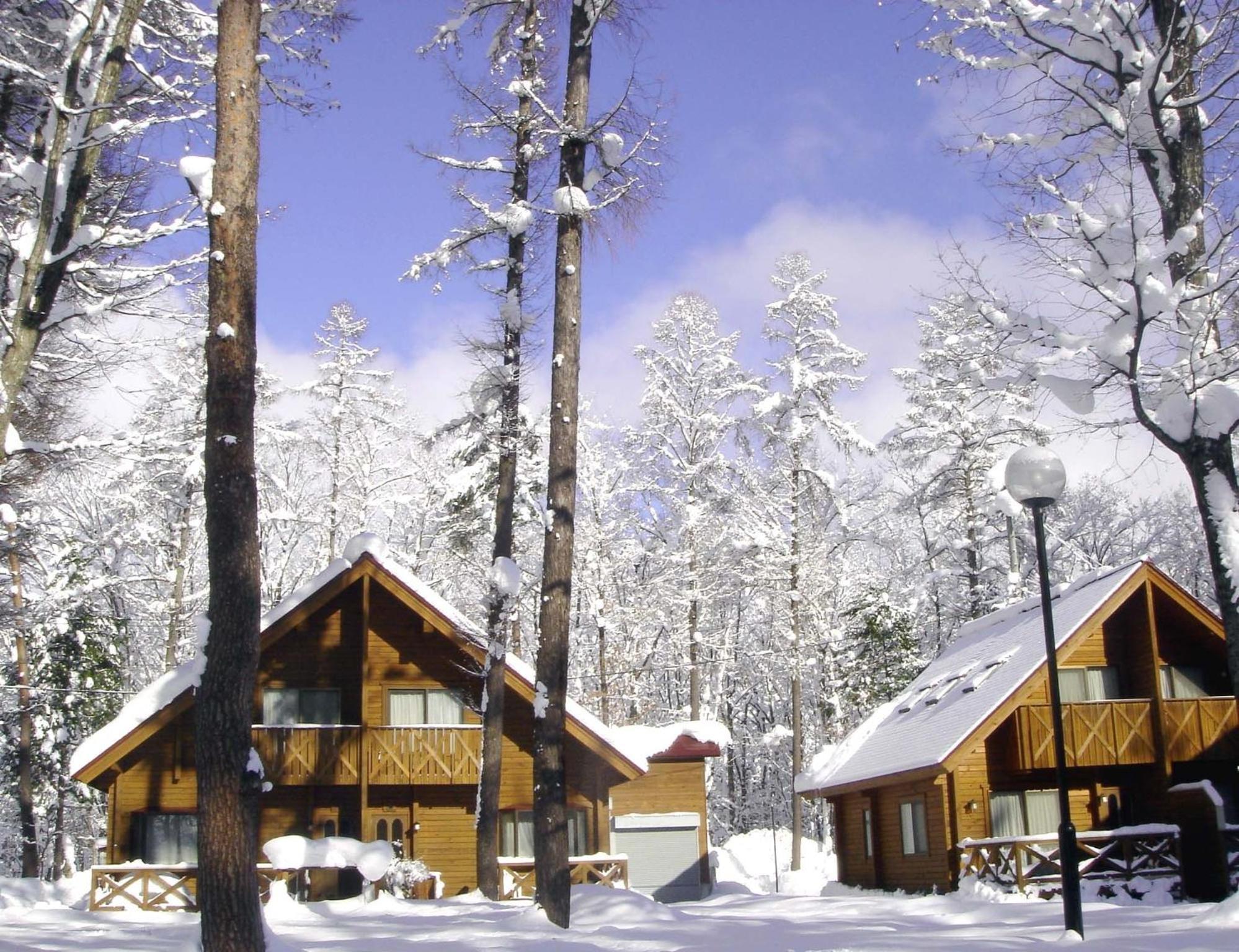 Log Cottage Epoch Hakuba Zewnętrze zdjęcie